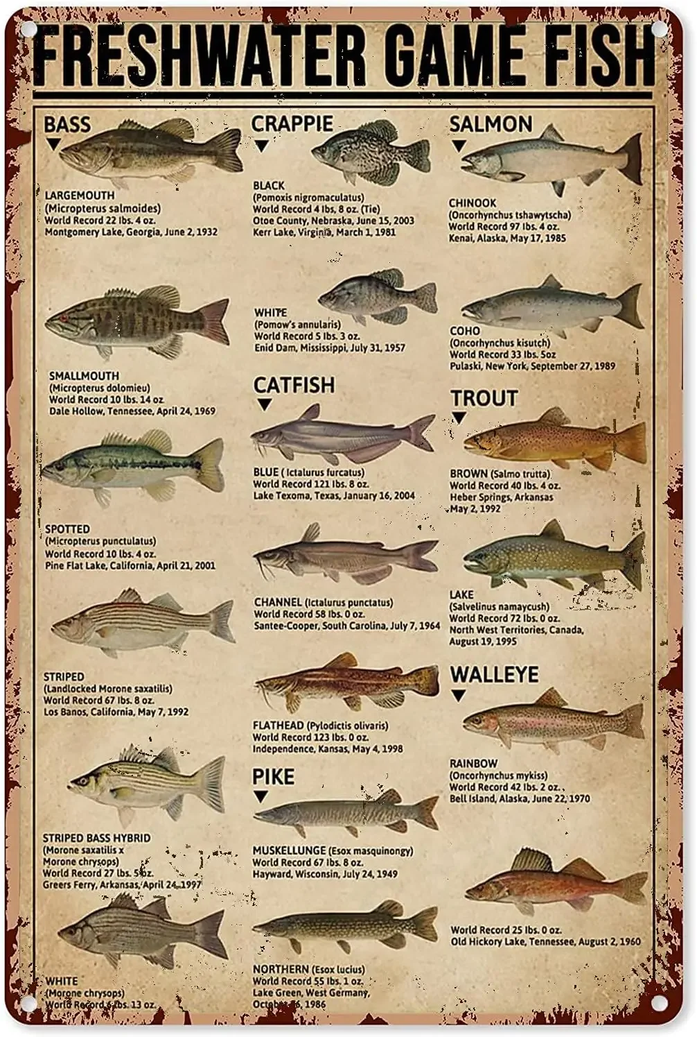 Home Decor Game - Fishing Art Posters Metal Sign Freshwater