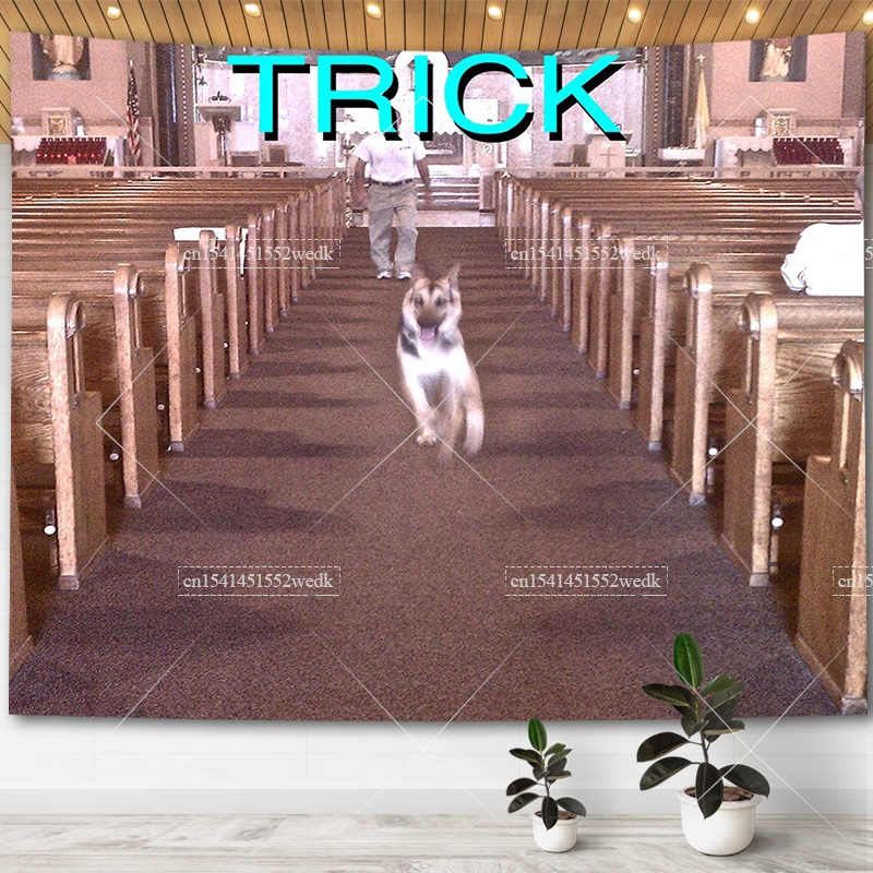 Aesthetic Tapestry - Alex G Trick Album Cover Tapestry