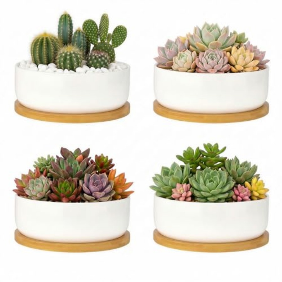 Succulent Planter Pot - Succulent Pots6 ch Succulent Planters with