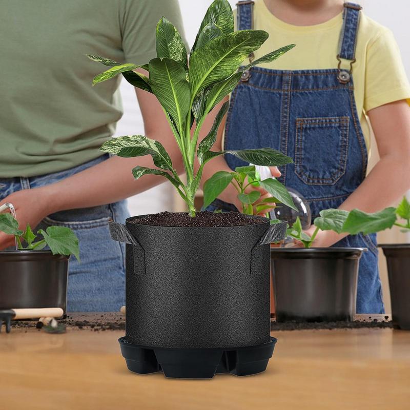 Auto Watering For Plants Indoo - đánh giá và giá Succulent Planter Pot