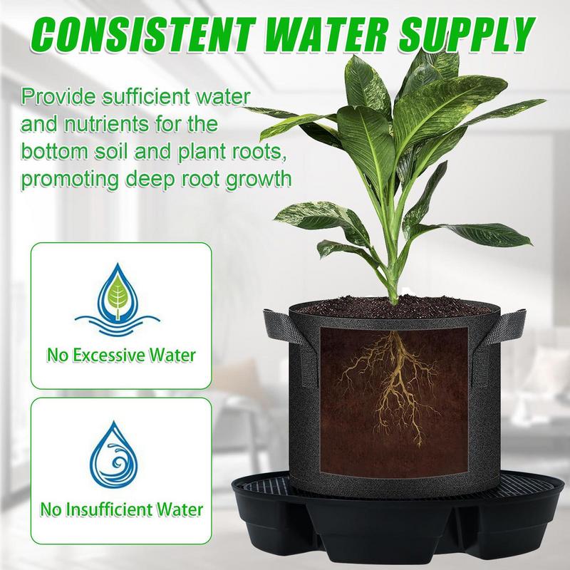 Auto Watering For Plants Indoo - đánh giá và giá Succulent Planter Pot