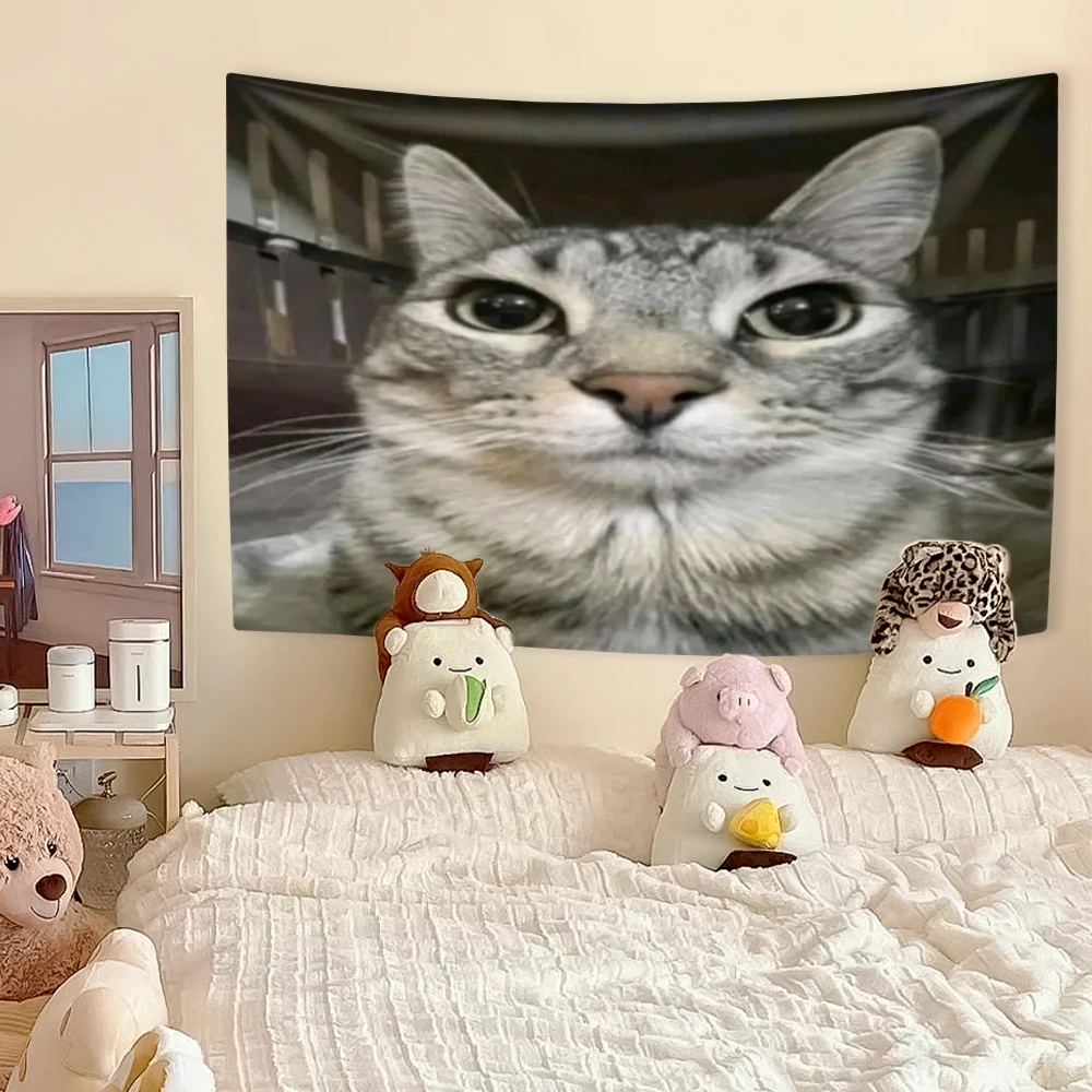Funny Cat Meme Tapestry, Kawai - đánh giá và giá Aesthetic Tapestry