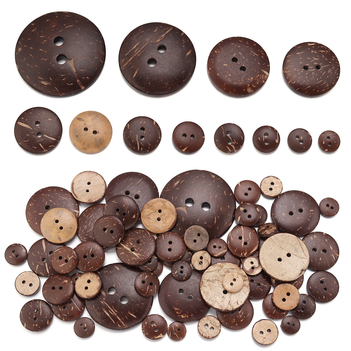 10-100Pcs Natural Coconut Shel - đánh giá và giá Home Decor Company
