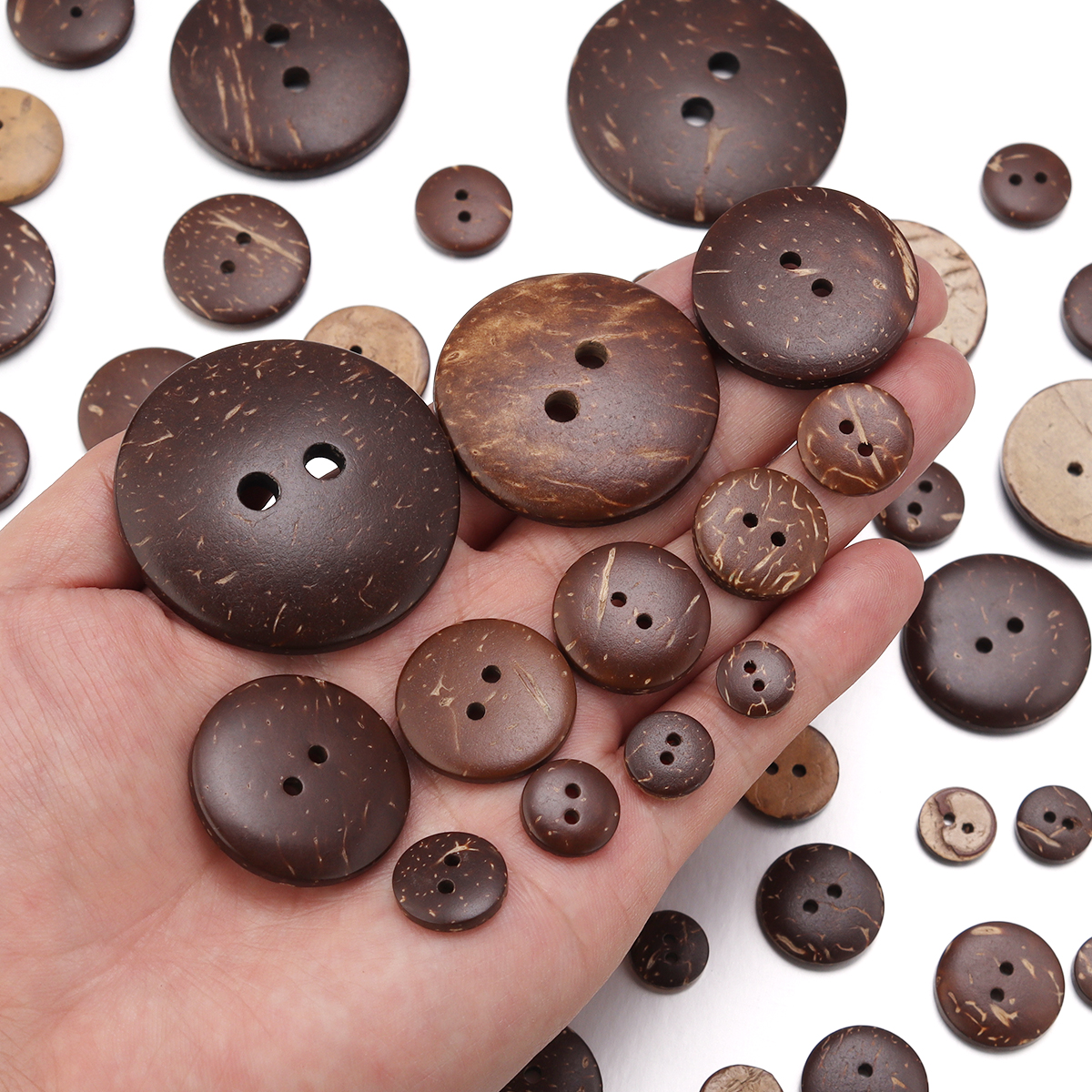 10-100Pcs Natural Coconut Shel - đánh giá và giá Home Decor Company