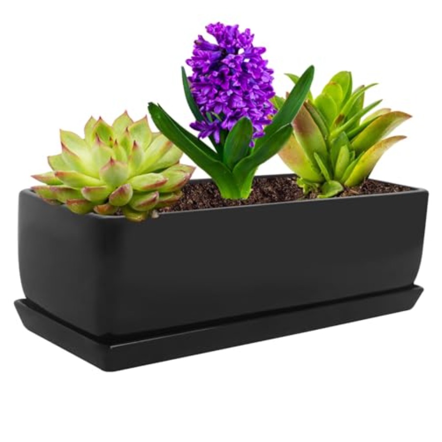 Rectangular Modern Minimalist  - đánh giá và giá Succulent Planter Pot