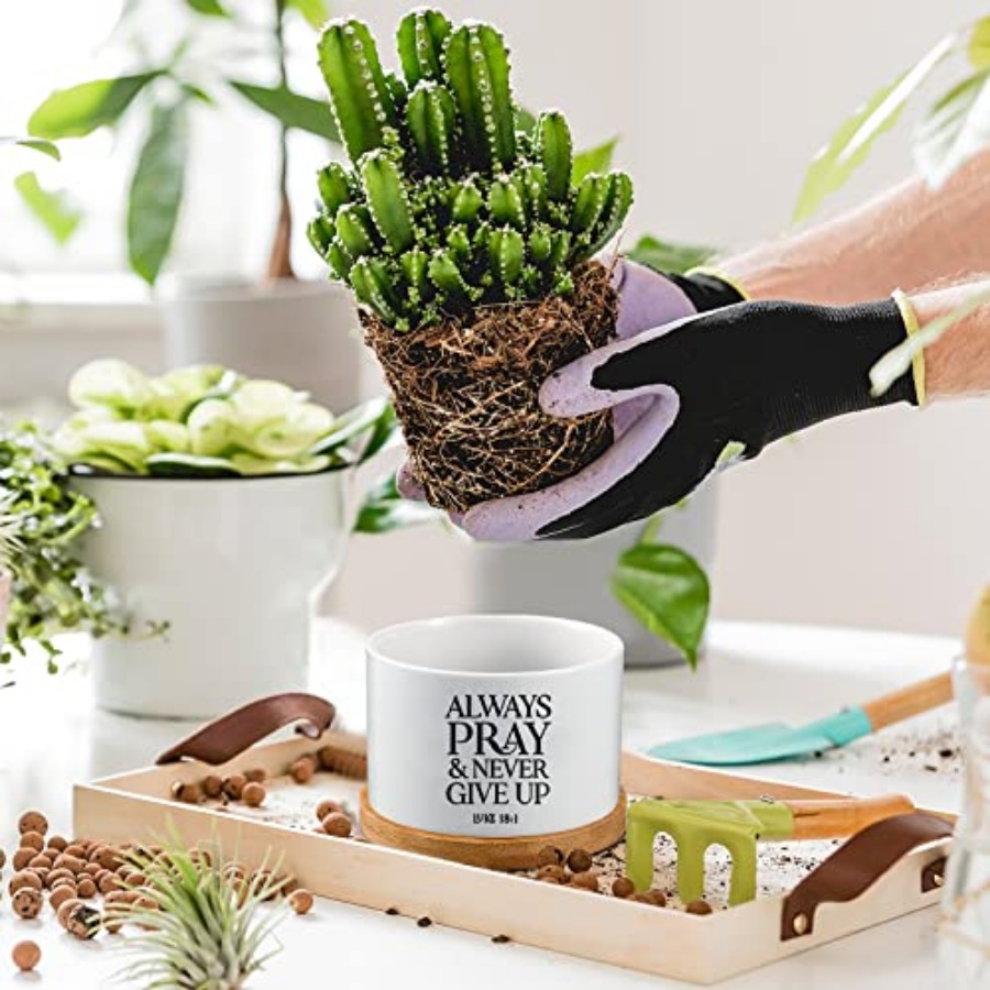 24 Set Christian Easter Gift B - đánh giá và giá Succulent Planter Pot