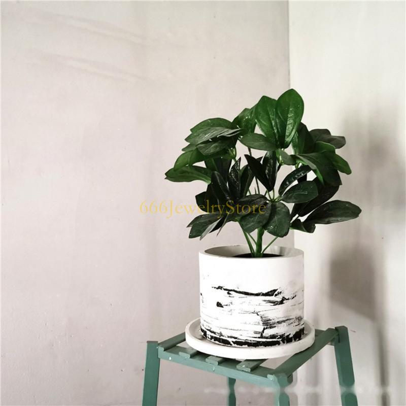 F2TD Large Round Concrete Flow - đánh giá và giá Succulent Planter Pot