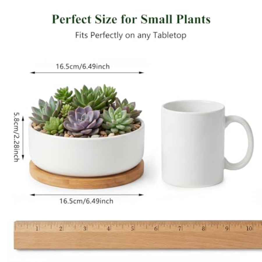 Succulent Pots6 ch Succulent P - đánh giá và giá Succulent Planter Pot